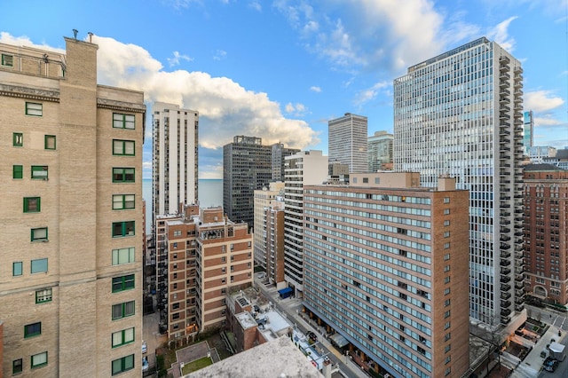 189 E Lake Shore Dr Unit Ph18, Chicago, IL 60611 - view of city