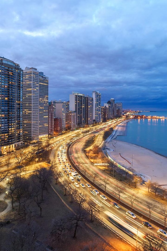 189 E Lake Shore Dr Unit Ph18, Chicago, IL 60611 - water view with nearby urban area