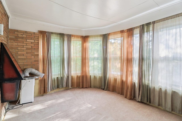 8400 S Honore St, Chicago, IL 60620 - photo 4