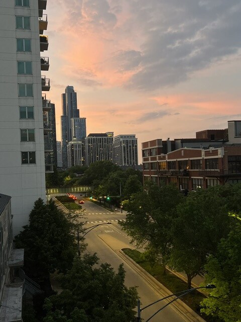 1632 S Indiana Ave Unit 502, Chicago, IL 60616 - photo 20