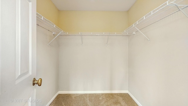 1 Clara Ct, Algonquin, IL 60102 - photo 16