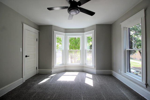 421 S Dearborn Ave, Kankakee, IL 60901 - photo 13