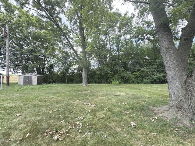 191 Pfitzer Dr, Bradley, IL 60915 - photo 16