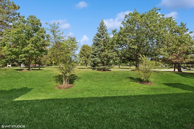 1222 Wellington Ct Unit 1222, Buffalo Grove, IL 60089 - photo 6