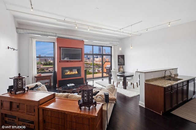 1524 S Sangamon St Unit 802, Chicago, IL 60608 - living room featuring rail lighting, a glass covered fireplace, and dark wood-type flooring