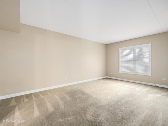 6655 S Cass Ave Unit 3D, Westmont, IL 60559 - photo 12