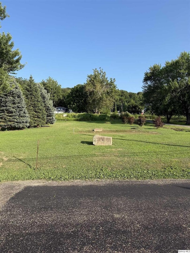 600 E 1st, Dallas City, IL 62330 - photo 3