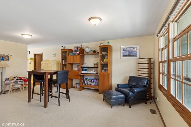 612 Pine View Pass, Lake Villa, IL 60046 - photo 8