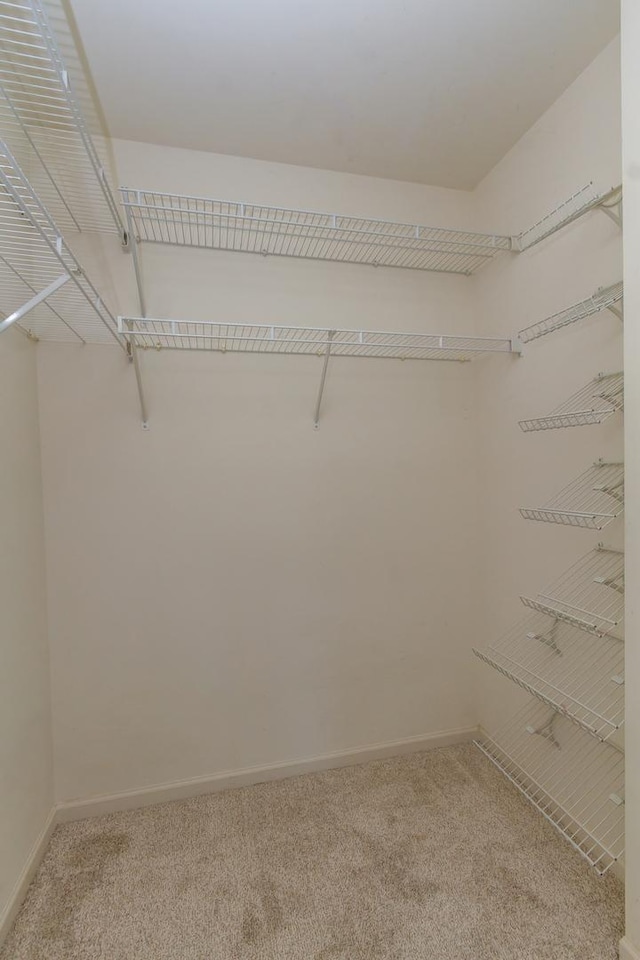 533 Telluride Dr, Gilberts, IL 60136 - photo 16