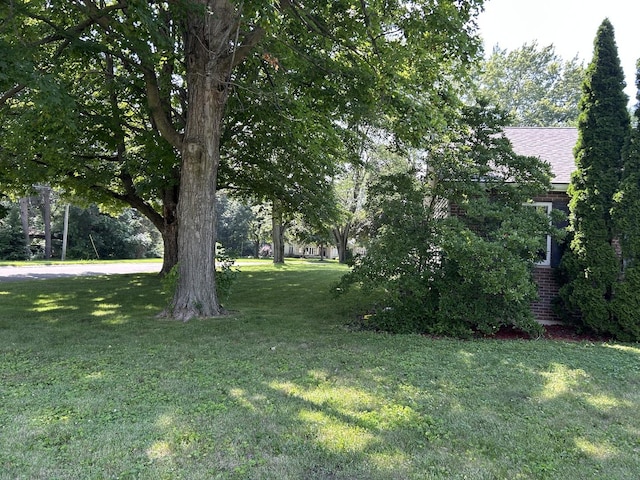 2002 Guiles St, Mendota, IL 61342 - photo 43