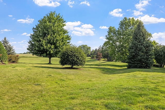18201 Newcastle Ct, Tinley Park, IL 60487 - photo 25