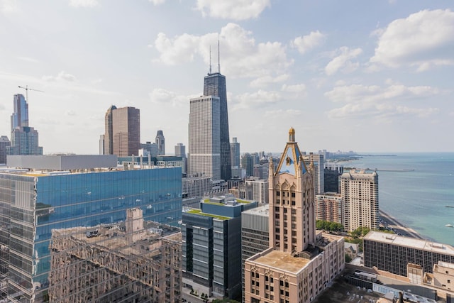 401 E Ontario St Unit 1805, Chicago, IL 60611 - photo 26