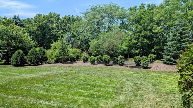 4308 Royal Windyne Ct, Saint Charles, IL 60174 - photo 39