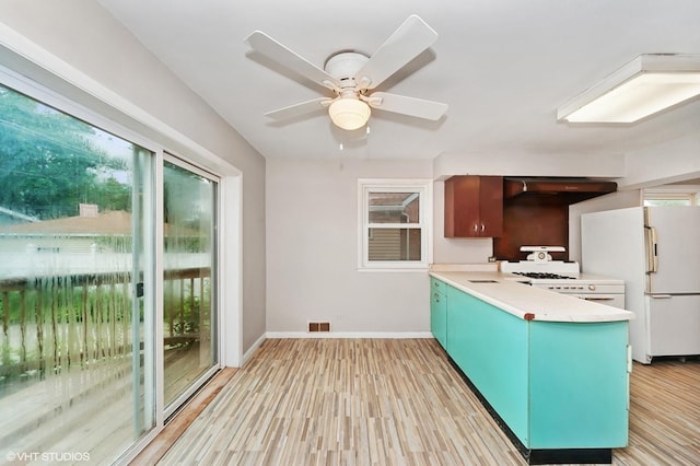 7158 N Mcalpin Ave, Chicago, IL 60646 - photo 8