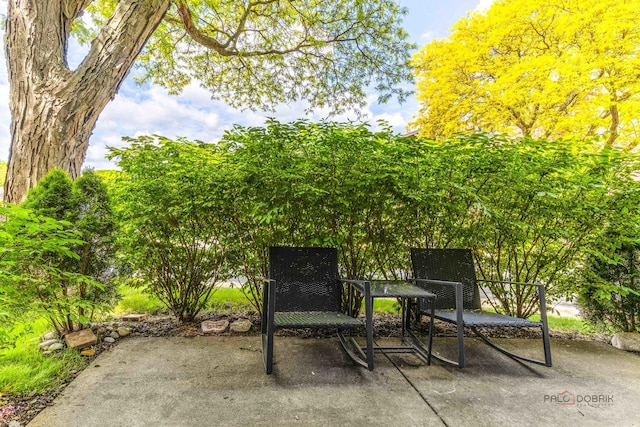 2638 N Windsor Dr Unit 101, Arlington Heights, IL 60004 - photo 25