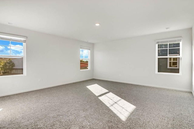 11381 Wildridge Ln, Huntley, IL 60142 - photo 17