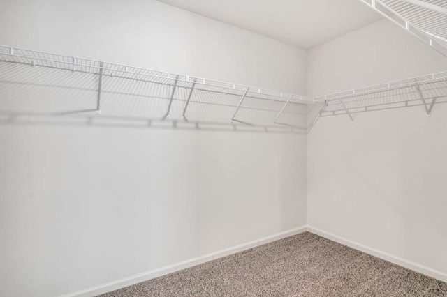 11381 Wildridge Ln, Huntley, IL 60142 - photo 20