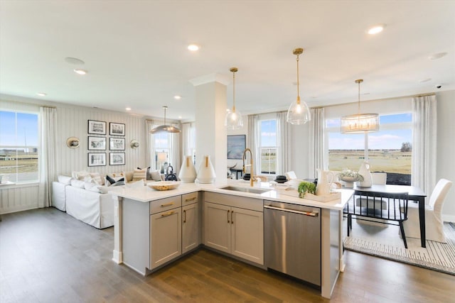 25452 W Stockwell Dr, Plainfield, IL 60544 - kitchen with open floor plan, stainless steel dishwasher, light countertops, dark wood-type flooring, and plenty of natural light