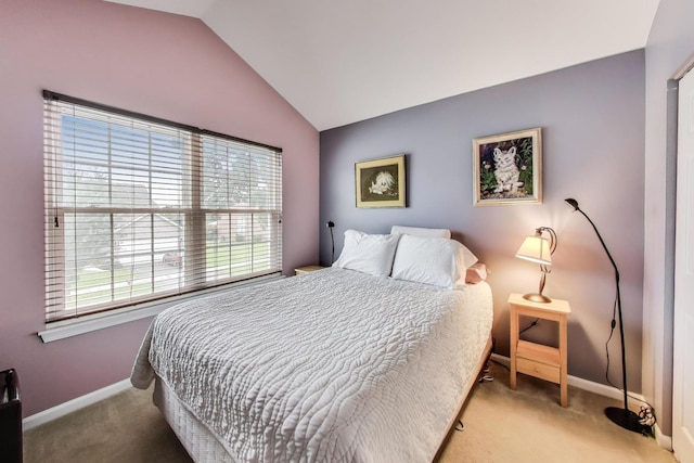 262 W Prairie Ln, Round Lake, IL 60073 - photo 18