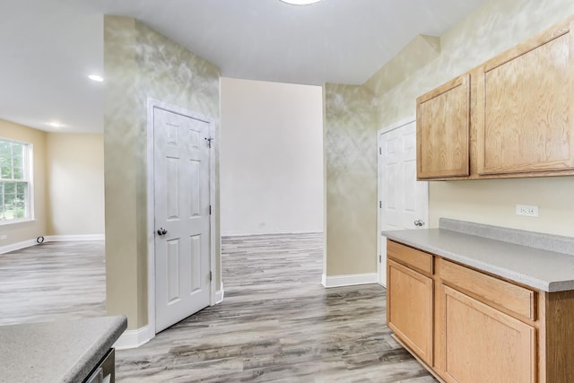574 S Jade Ln, Round Lake, IL 60073 - kitchen with light wood finished floors, light countertops, and recessed lighting
