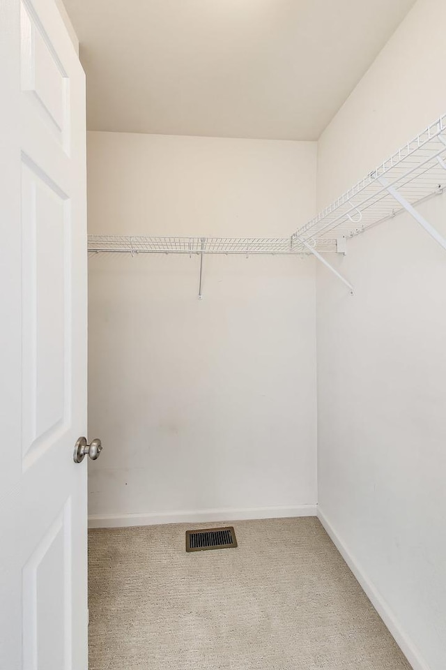 574 S Jade Ln, Round Lake, IL 60073 - spacious closet featuring carpet