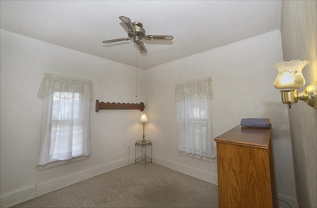 1339 W Jackson St, Ottawa, IL 61350 - photo 8