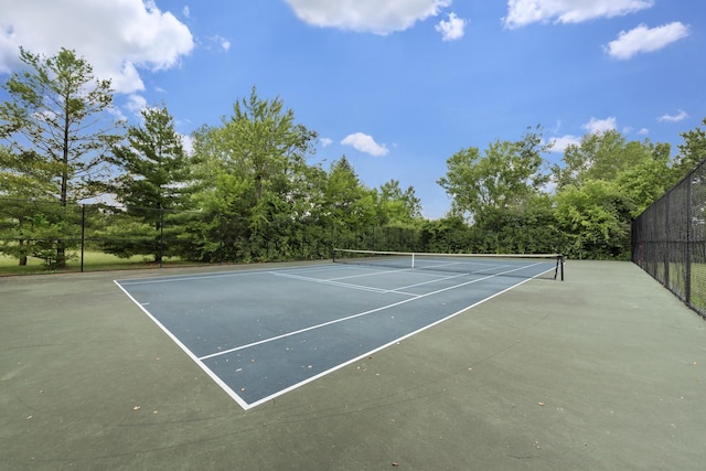 17304 Buck Dr, Orland Park, IL 60467 - photo 32
