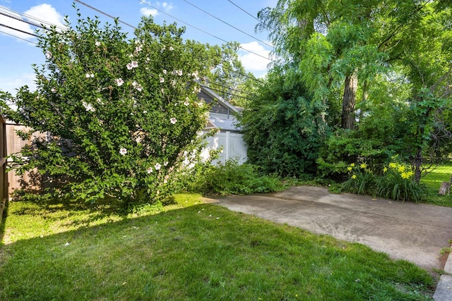 8625 Washington Ave, Brookfield, IL 60513 - photo 15