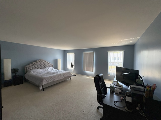 3808 Thoroughbred Ln, Joliet, IL 60435 - photo 8