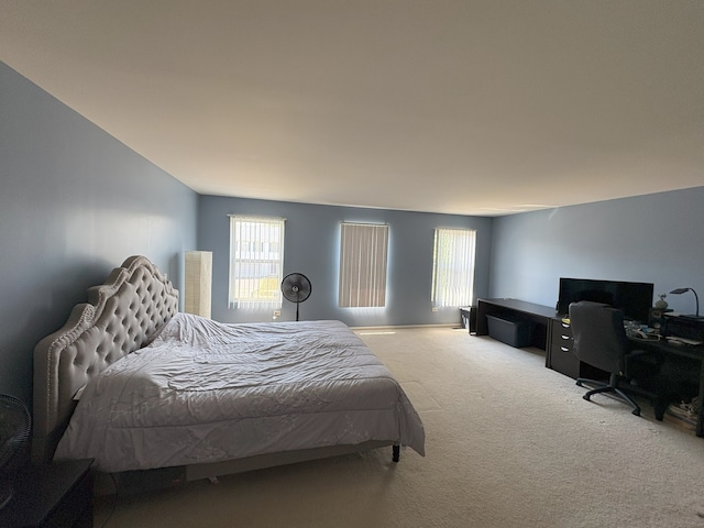 3808 Thoroughbred Ln, Joliet, IL 60435 - photo 9