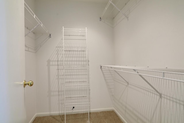 716 Darnell Ln, Gurnee, IL 60031 - photo 28