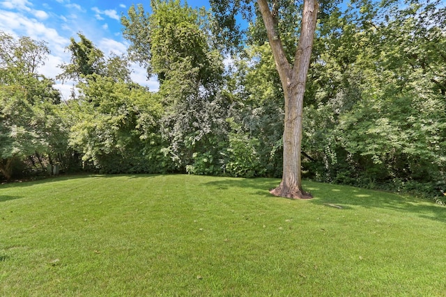 716 Darnell Ln, Gurnee, IL 60031 - photo 44
