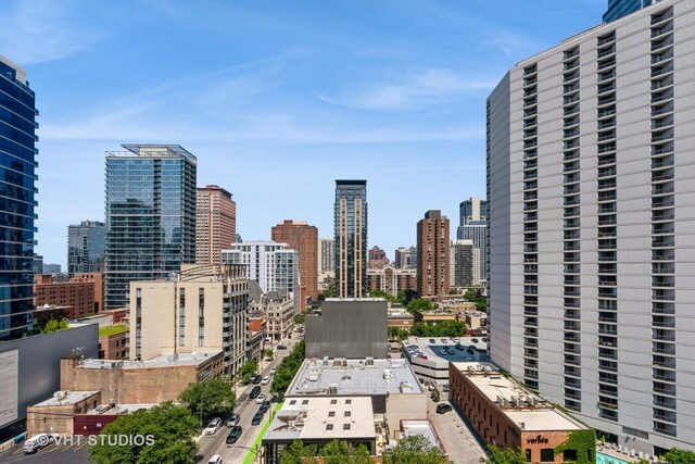 70 W Huron St Unit 1301, Chicago, IL 60654 - photo 19
