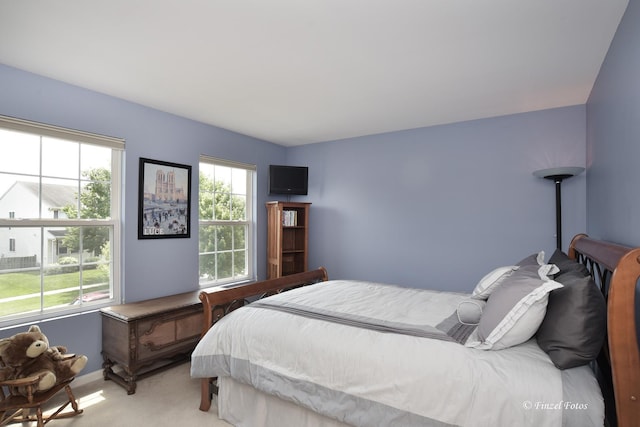 975 Valley Stream Dr, Pingree Grove, IL 60140 - photo 20