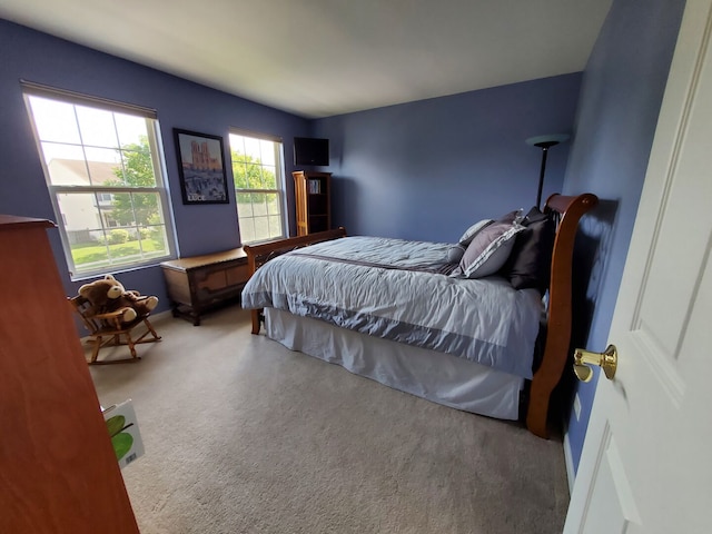 975 Valley Stream Dr, Pingree Grove, IL 60140 - photo 21