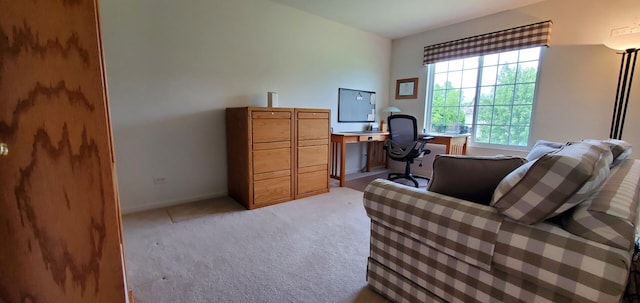 975 Valley Stream Dr, Pingree Grove, IL 60140 - photo 23