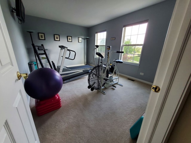 975 Valley Stream Dr, Pingree Grove, IL 60140 - photo 28