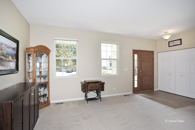 975 Valley Stream Dr, Pingree Grove, IL 60140 - photo 4