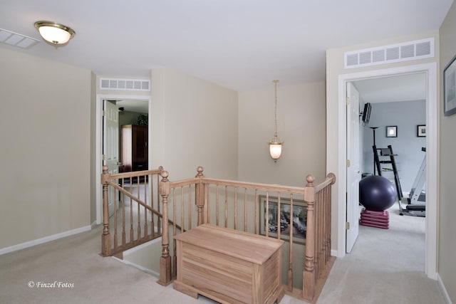 975 Valley Stream Dr, Pingree Grove, IL 60140 - photo 31