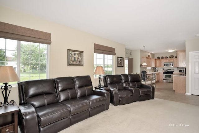 975 Valley Stream Dr, Pingree Grove, IL 60140 - photo 7