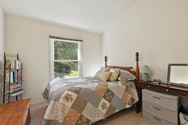 1404 Queensgreen Cir Unit 1404, Naperville, IL 60563 - photo 13