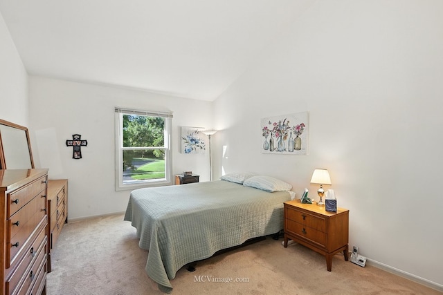 1404 Queensgreen Cir Unit 1404, Naperville, IL 60563 - photo 14
