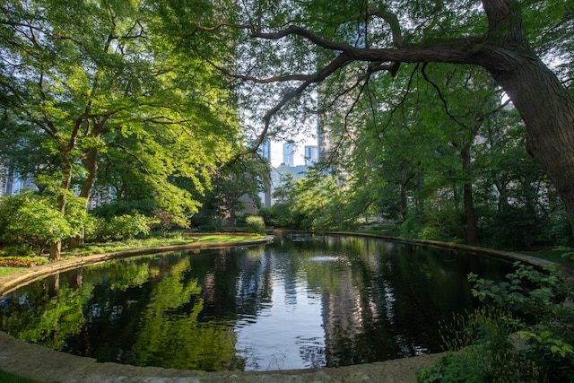 505 N Lake Shore Dr Unit 4105, Chicago, IL 60611 - photo 22