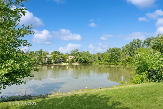 15721 Orlan Brook Dr Unit 88, Orland Park, IL 60462 - photo 18