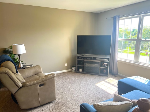 14703 Paul Revere Ct, Plainfield, IL 60544 - carpeted living area with baseboards
