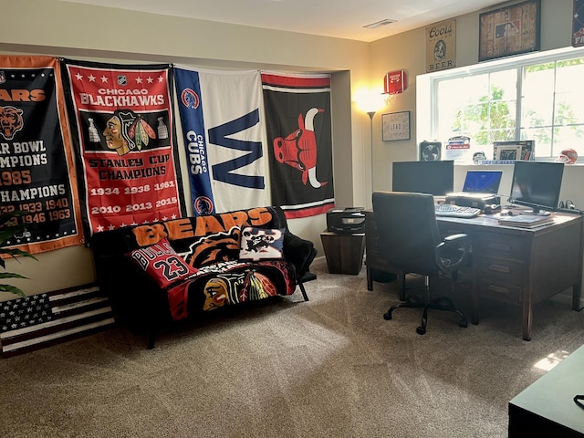 14703 Paul Revere Ct, Plainfield, IL 60544 - view of carpeted office