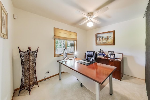 543 S Warren Ave, Palatine, IL 60074 - photo 22