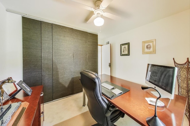 543 S Warren Ave, Palatine, IL 60074 - photo 23