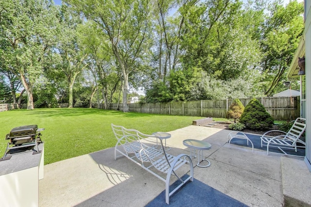 543 S Warren Ave, Palatine, IL 60074 - photo 30