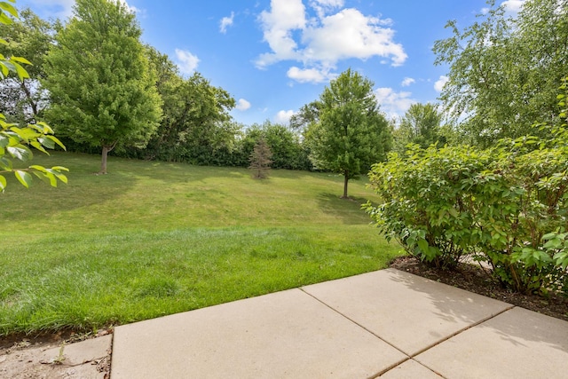 6558 Marble Ln, Carpentersville, IL 60110 - photo 12